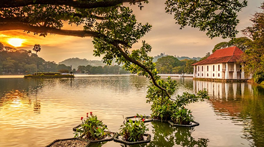 Complete Island Round Tour